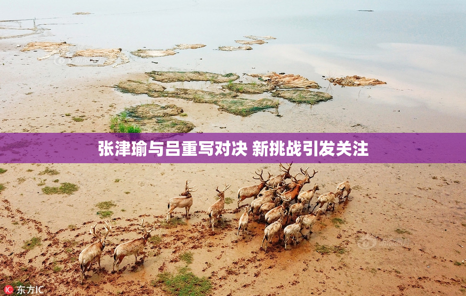 张津瑜与吕重写对决 新挑战引发关注