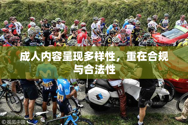 成人内容呈现多样性，重在合规与合法性