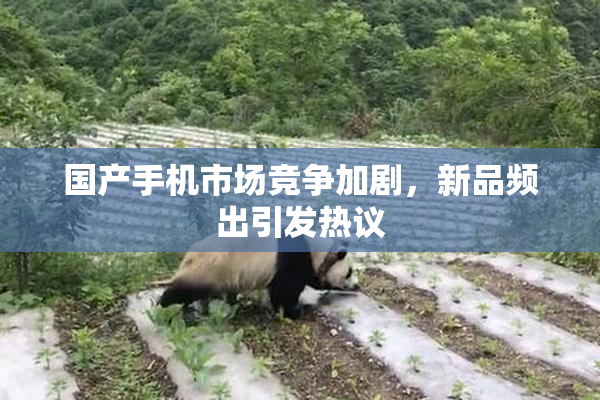 国产手机市场竞争加剧，新品频出引发热议