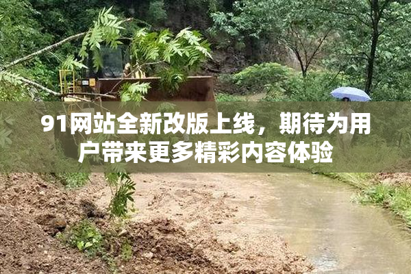 91网站全新改版上线，期待为用户带来更多精彩内容体验