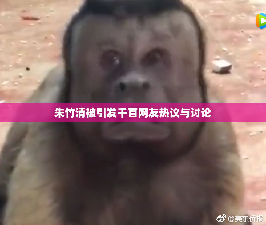 朱竹清被引发千百网友热议与讨论