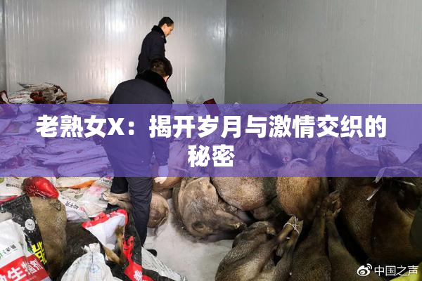 老熟女X：揭开岁月与激情交织的秘密