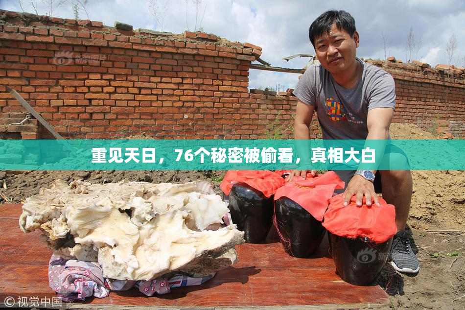 重见天日，76个秘密被偷看，真相大白