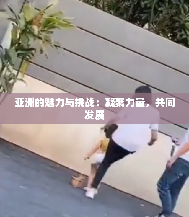 亚洲的魅力与挑战：凝聚力量，共同发展