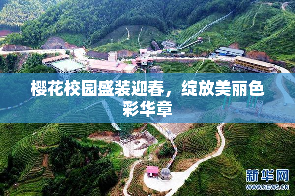 樱花校园盛装迎春，绽放美丽色彩华章