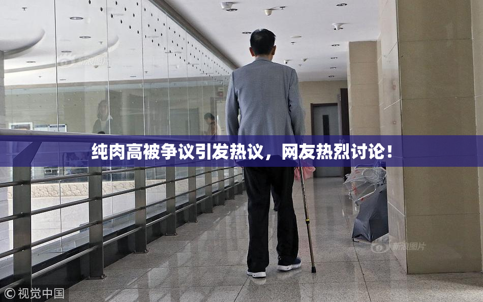 纯肉高被争议引发热议，网友热烈讨论！