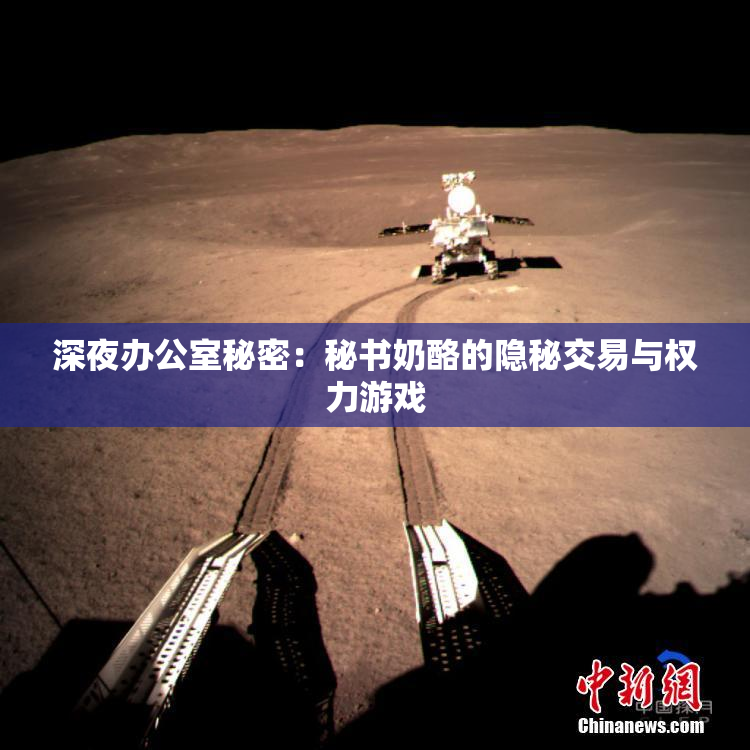 深夜办公室秘密：秘书奶酪的隐秘交易与权力游戏