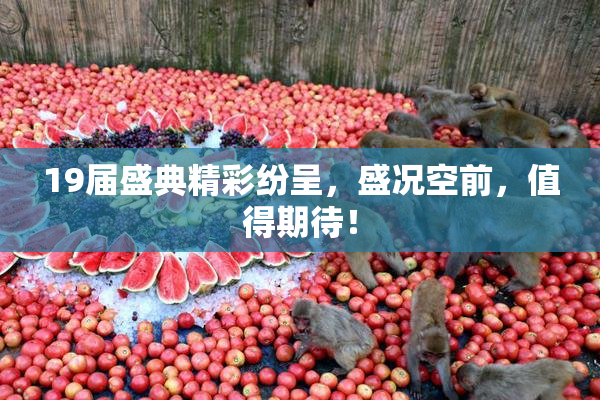 19届盛典精彩纷呈，盛况空前，值得期待！