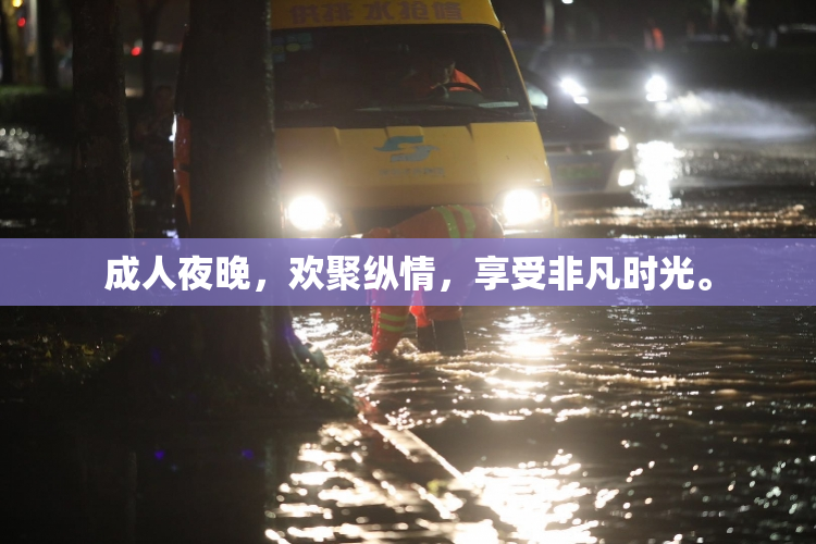 成人夜晚，欢聚纵情，享受非凡时光。