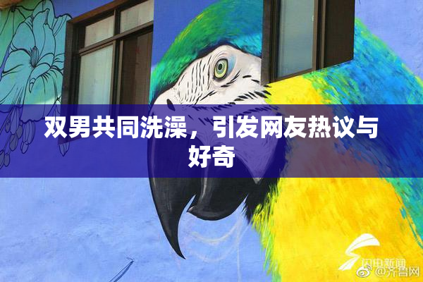 双男共同洗澡，引发网友热议与好奇