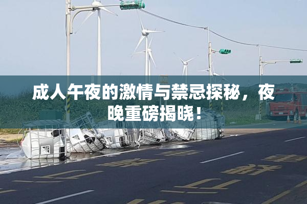 成人午夜的激情与禁忌探秘，夜晚重磅揭晓！
