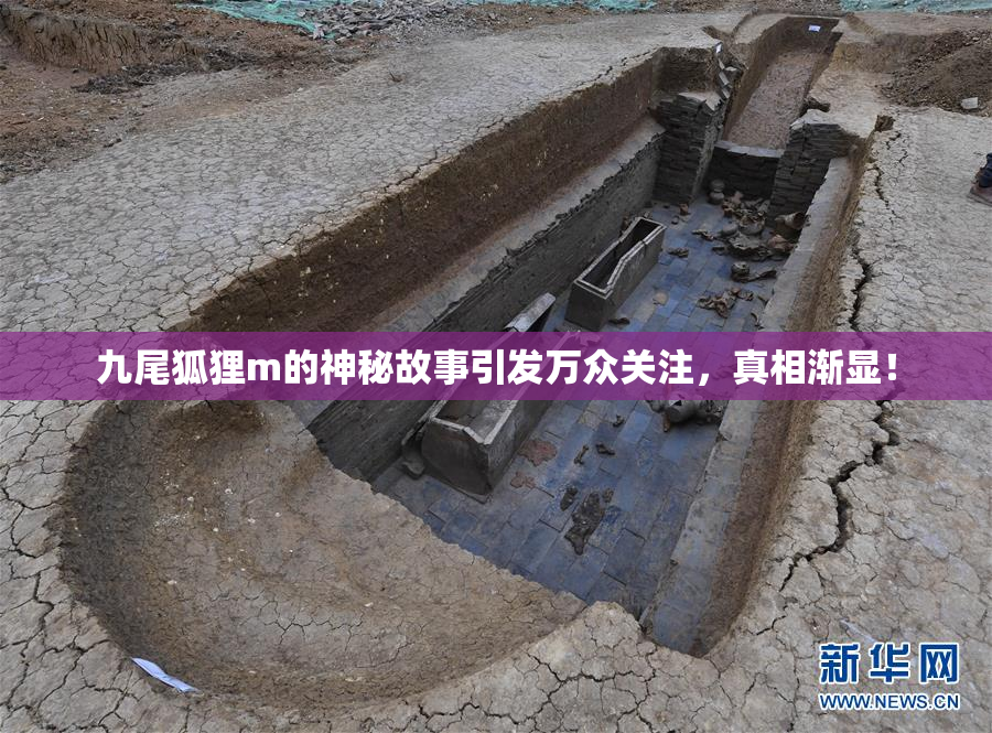 九尾狐狸m的神秘故事引发万众关注，真相渐显！