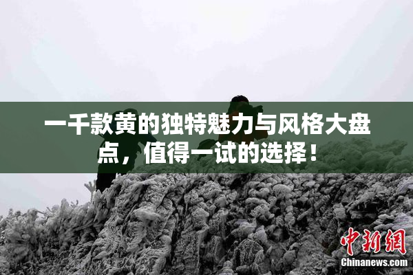 一千款黄的独特魅力与风格大盘点，值得一试的选择！