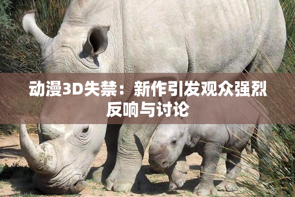 动漫3D失禁：新作引发观众强烈反响与讨论