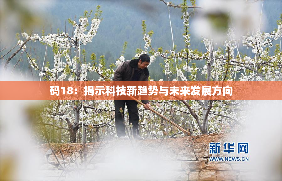 码18：揭示科技新趋势与未来发展方向