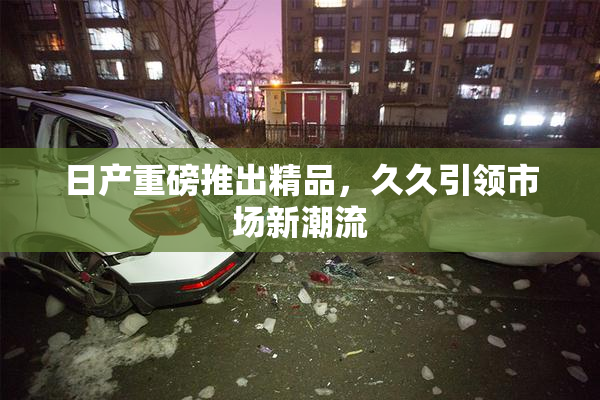 日产重磅推出精品，久久引领市场新潮流