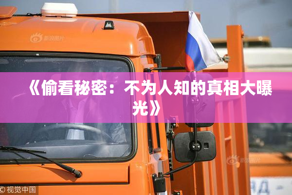 《偷看秘密：不为人知的真相大曝光》