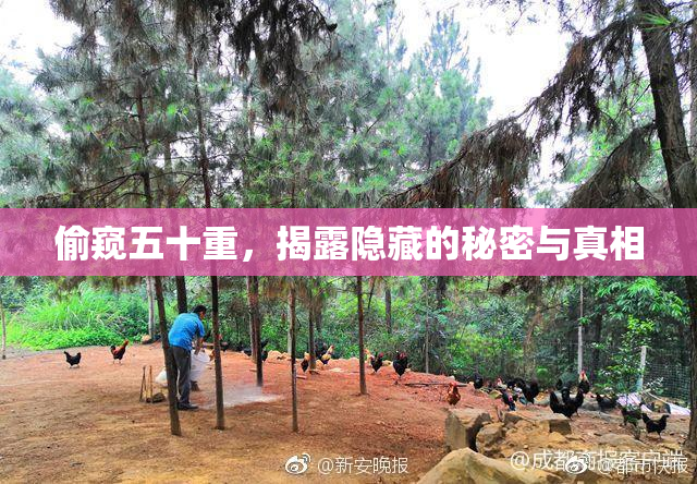 偷窥五十重，揭露隐藏的秘密与真相