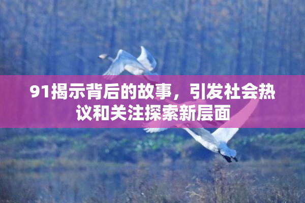 91揭示背后的故事，引发社会热议和关注探索新层面