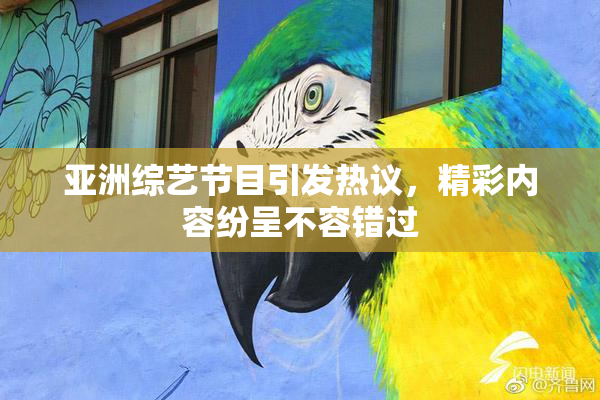 亚洲综艺节目引发热议，精彩内容纷呈不容错过