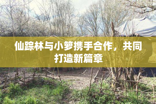 仙踪林与小箩携手合作，共同打造新篇章