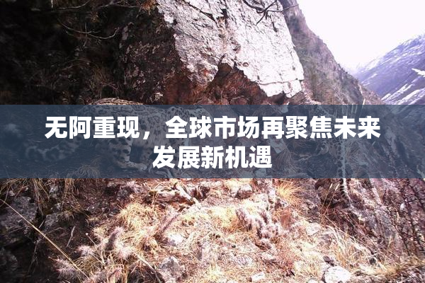 无阿重现，全球市场再聚焦未来发展新机遇