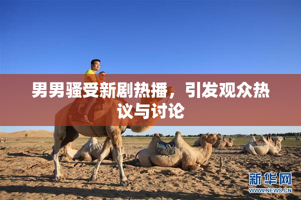 男男骚受新剧热播，引发观众热议与讨论