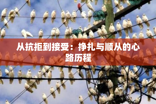 从抗拒到接受：挣扎与顺从的心路历程