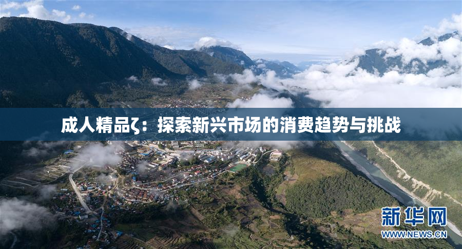 成人精品ζ：探索新兴市场的消费趋势与挑战