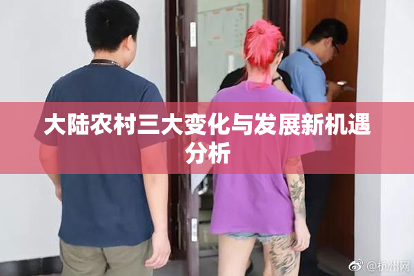 大陆农村三大变化与发展新机遇分析