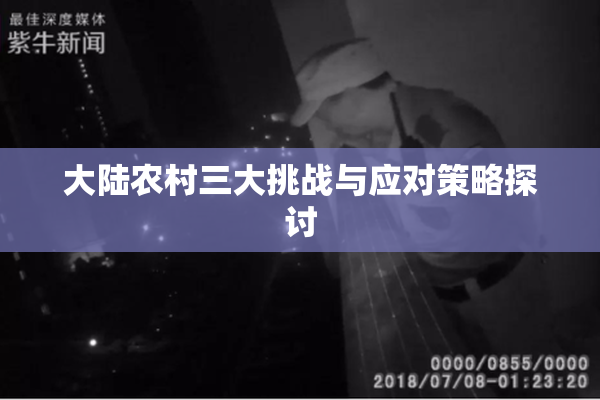 大陆农村三大挑战与应对策略探讨
