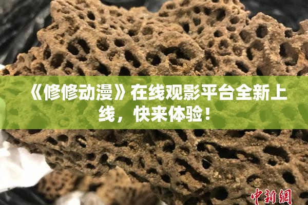 《修修动漫》在线观影平台全新上线，快来体验！