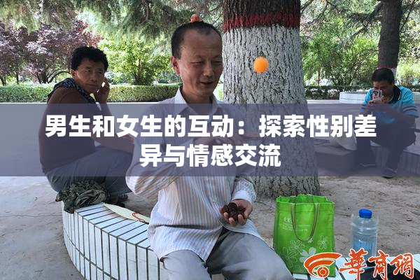 男生和女生的互动：探索性别差异与情感交流