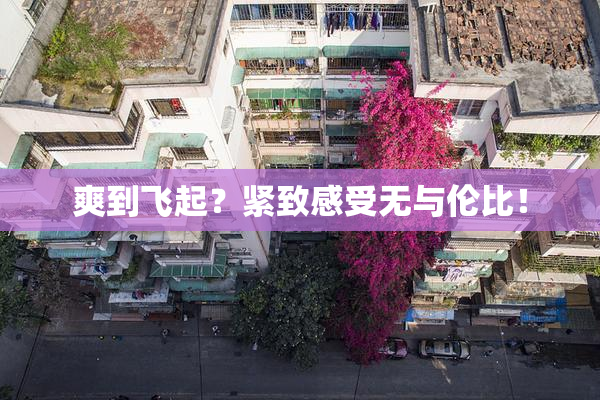 爽到飞起？紧致感受无与伦比！