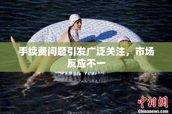 手续费问题引发广泛关注，市场反应不一