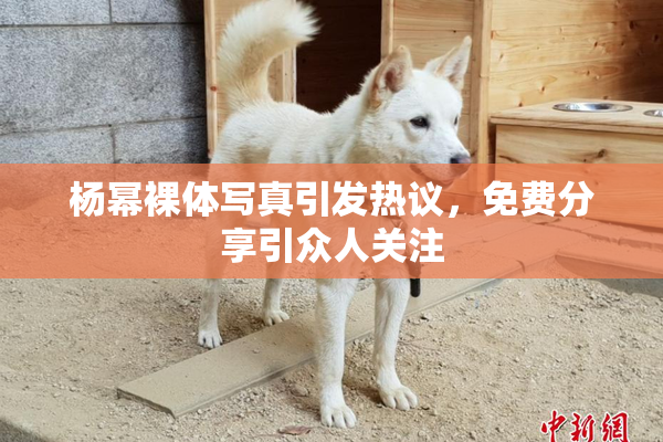 杨幂裸体写真引发热议，免费分享引众人关注