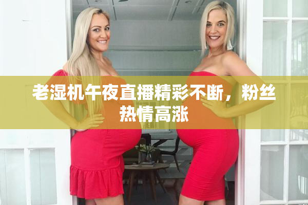 老湿机午夜直播精彩不断，粉丝热情高涨