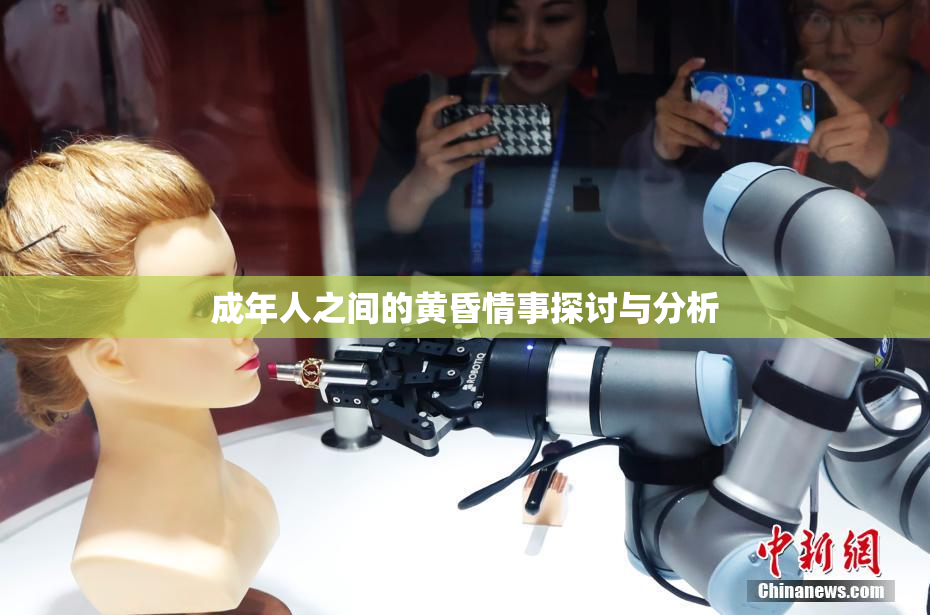 成年人之间的黄昏情事探讨与分析