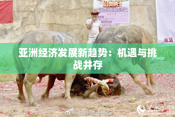 亚洲经济发展新趋势：机遇与挑战并存