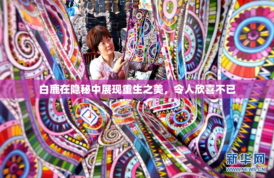 白鹿在隐秘中展现重生之美，令人欣喜不已
