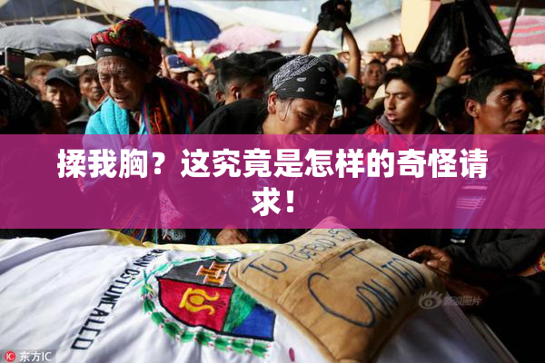 揉我胸？这究竟是怎样的奇怪请求！