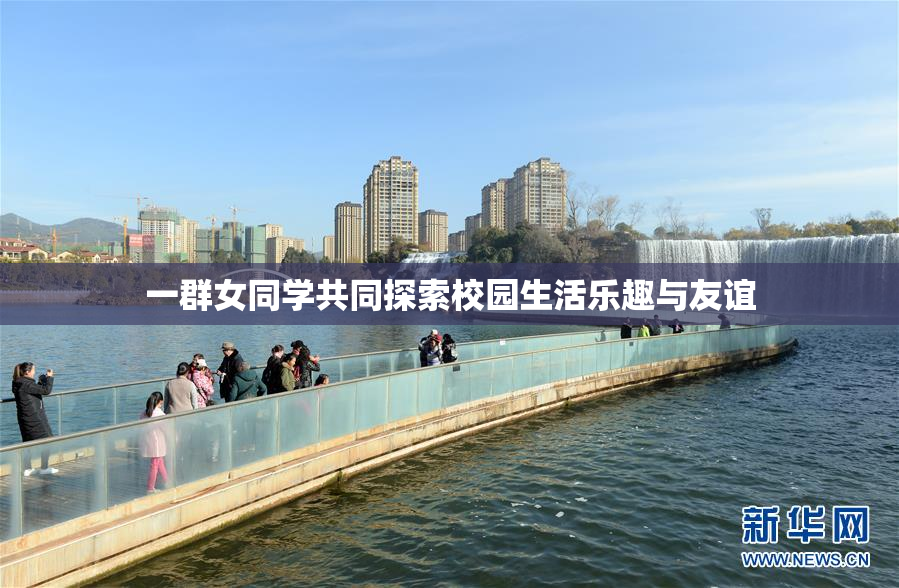 一群女同学共同探索校园生活乐趣与友谊