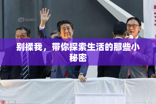 别揉我，带你探索生活的那些小秘密