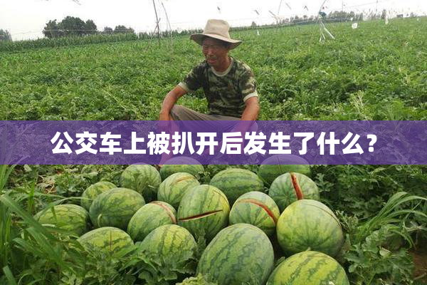 公交车上被扒开后发生了什么？