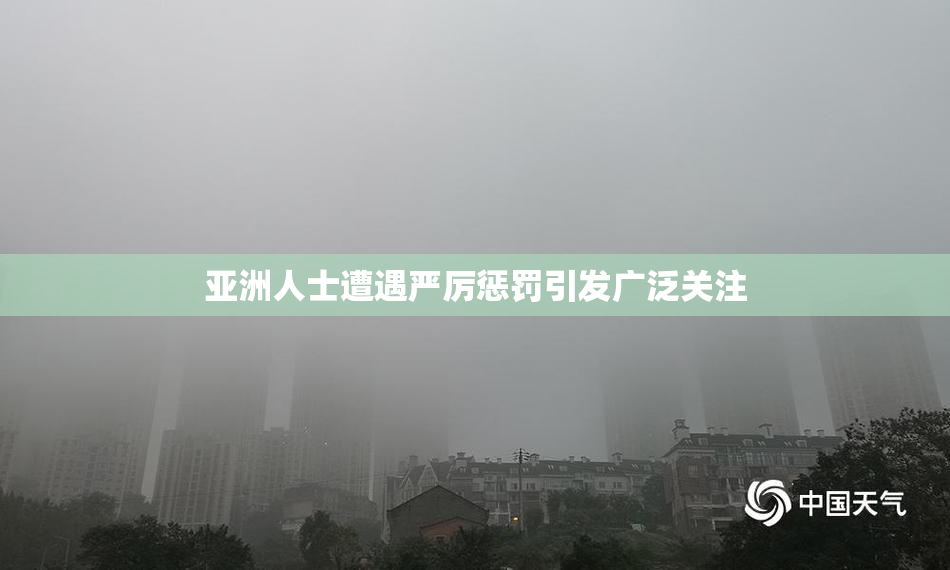 亚洲人士遭遇严厉惩罚引发广泛关注