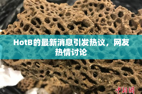 HotB的最新消息引发热议，网友热情讨论