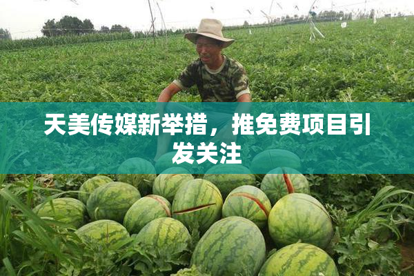 天美传媒新举措，推免费项目引发关注