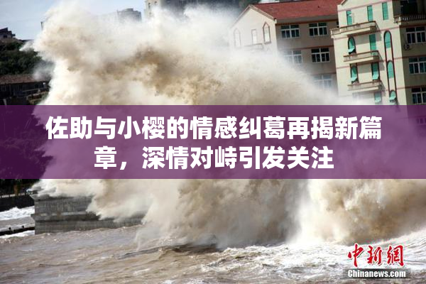 佐助与小樱的情感纠葛再揭新篇章，深情对峙引发关注