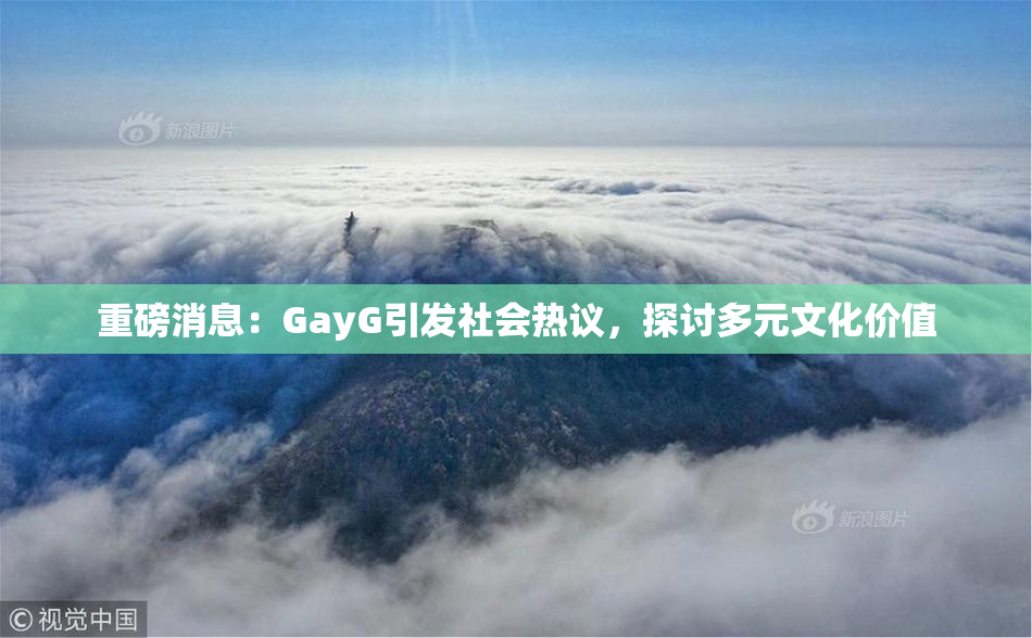 重磅消息：GayG引发社会热议，探讨多元文化价值