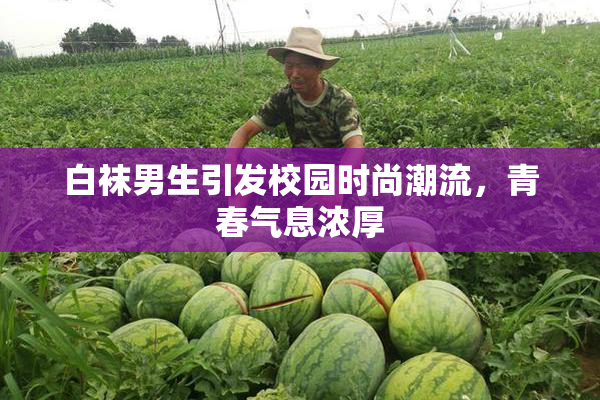 白袜男生引发校园时尚潮流，青春气息浓厚